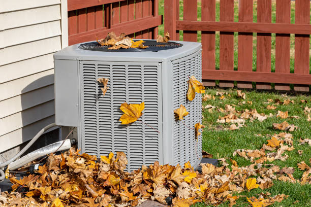 Best HVAC air duct cleaning  in Montgomery, OH